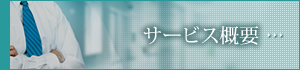 サービス概要